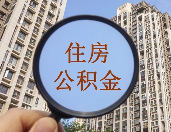 保定退休后查不到公积金明细了吗（退休后公积金查询不到原因）